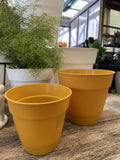 LEONARD SELF WATERING POT ASSORTED