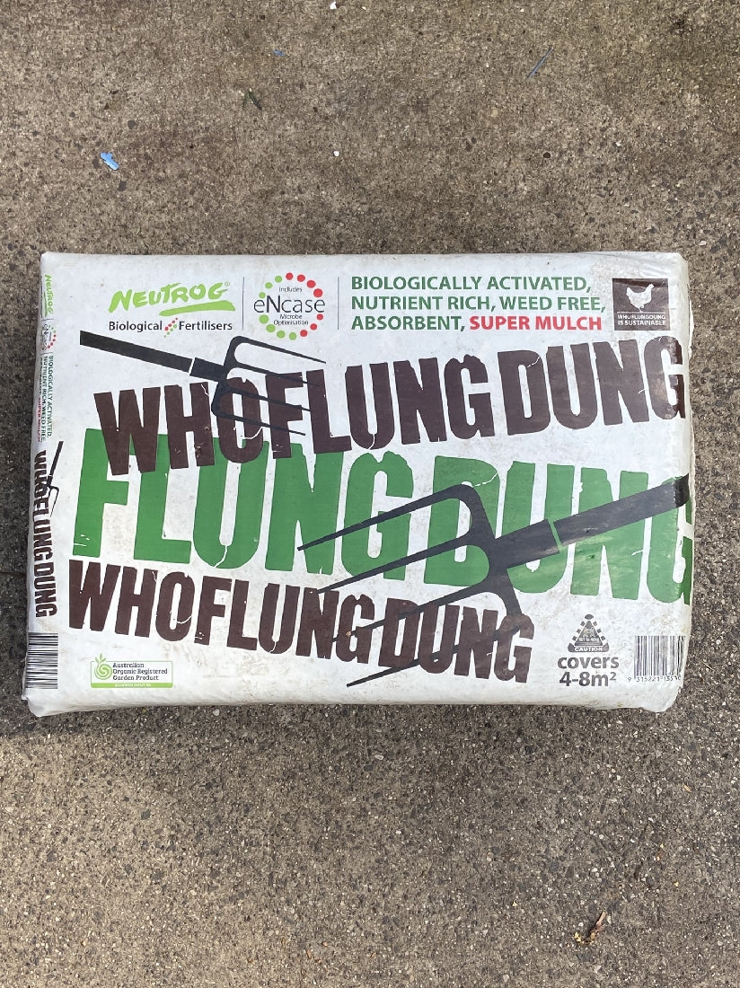 WHO FLUNG DUNG BALE Poyntons Nursery