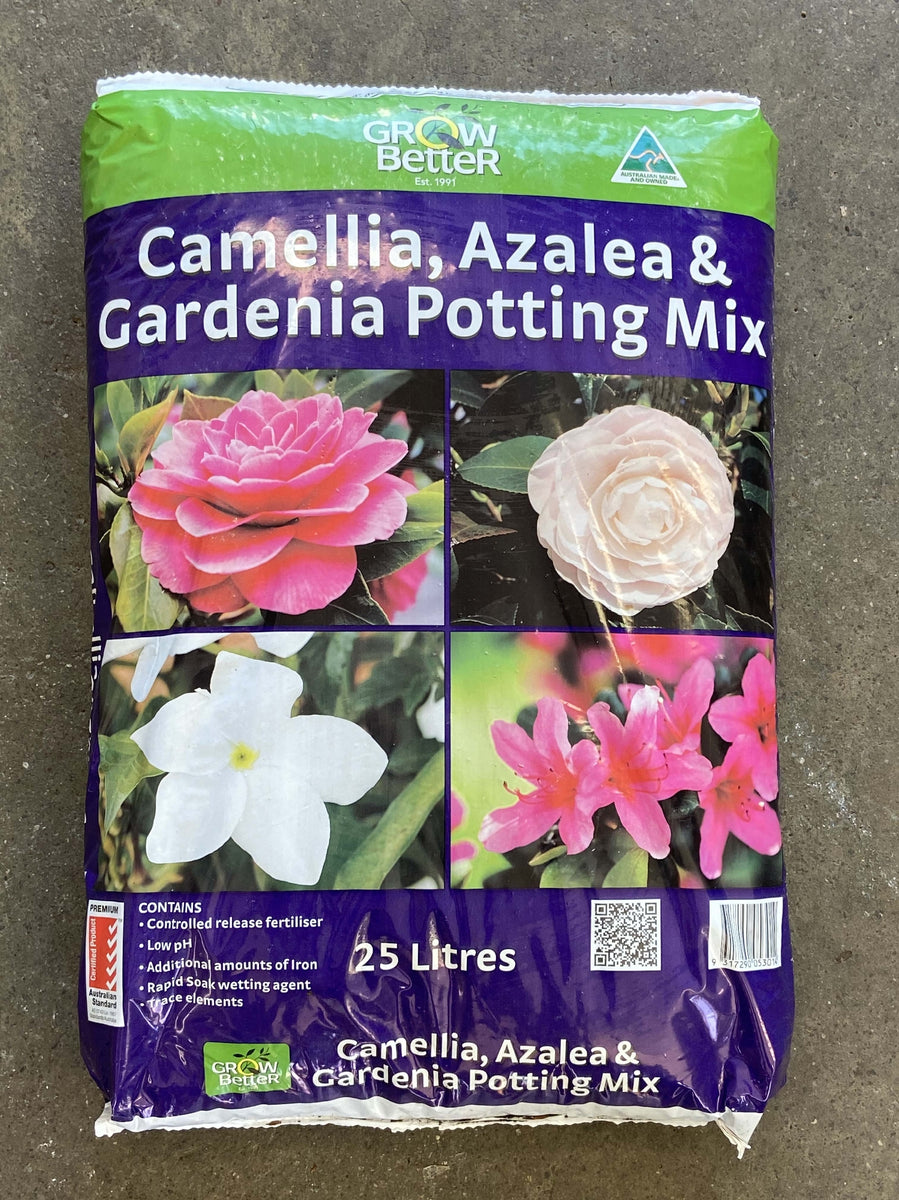 searles azalea potting mix GROW BETTER CAMELLIA AZALEA & GARDENIA POT MIX 25 L – Poyntons Nursery