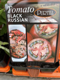 TOMATOES ADVANCED 10CM POTS