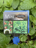 HERB/VEGGIE ASSTD 20CM 