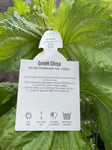 HERB/VEGGIE ASSTD 20CM 
