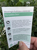 WESTRINGIA WYNYABBIE GEM 20CM