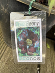 PEONY KRONOS 20CM 