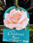 ROSA THE CHILDRENS ROSE 20CM 