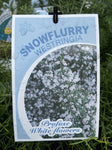 WESTRINGIA LONGIFOLIA SNOWFLURRY 14CM 