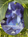 HYDRANGEA BLUE BALL 33CM