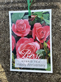 ROSE HAPPY ANNIVERSARY BARE ROOT
