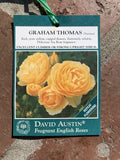 ROSE DAVID AUSTIN GRAHAM THOMAS BARE ROOT 