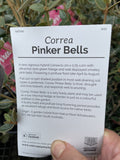 CORREA PINKER BELLS 14CM