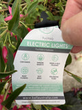 FUCHSIA ELECTRIC LIGHTS 20CM