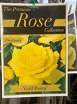 ROSA GOLD BUNNY 20CM