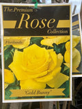 ROSA GOLD BUNNY 20CM