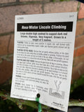 ROSE CLIMBING MR LINCOLN BARE ROOT
