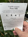 CAMELLIA PURE SILK 20CM 