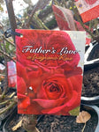 ROSE FATHER'S LOVE™ BARE ROOT