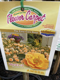 ROSA STANDARD FLOWER CARPET AMBER 2FT BARE ROOT 