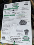 ROSA STANDARD FLOWER CARPET GOLD 2FT BARE ROOT 