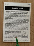 ROSE PINK PEACE BARE ROOT