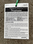 ROSA NEPTUNE BARE ROOT
