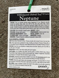 ROSA NEPTUNE BARE ROOT