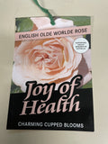 ROSE JOY OF HEALTH BARE ROOT 