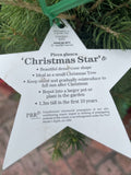 PICEA GLAUCA CHRISTMAS STAR 14CM