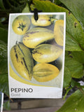 ON THE TABLE PEPINO GOLD 14CM