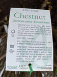 CHESTNUT EMERALD GEM BARE ROOT