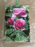 ROSE MOTHER AND CHILD BARE ROOT