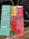 ROSE CLIMBING RED PIERRE DE RONSARD BARE ROOT