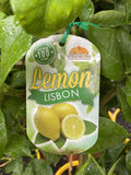 LEMON LISBON 40CM