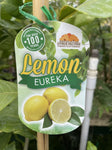 LEMON EUREKA 33CM