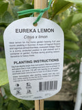 LEMON EUREKA 33CM