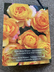 ROSA STANDARD MY YELLOW 3FT 20CM 