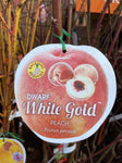 PEACH DWARF WHITE GOLD BARE ROOT