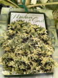 SCHEFFLERA MADAME DE SMET 20CM 
