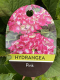 HYDRANGEA PINK BALL 20CM