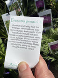 DIERAMA PENDULUM 14CM
