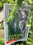 TAXODIUM DISTICHUM CASCADE FALLS STANDARD 25CM
