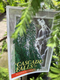 TAXODIUM DISTICHUM CASCADE FALLS STANDARD 25CM