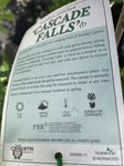 TAXODIUM DISTICHUM CASCADE FALLS STANDARD 25CM
