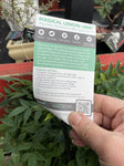 NANDINA LEMON & LIME 20CM 