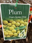 PLUM DWARF COES GOLDEN DROP 25CM