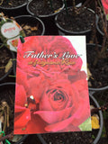 ROSE STANDARD FATHER'S LOVE 3FT BARE ROOT 