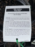 GRAPE PINOT NOIR BARE ROOT
