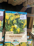 BULBS SPRING $12.99