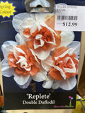 BULBS SPRING $12.99