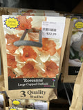 BULBS SPRING $12.99