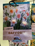 BULBS SPRING $12.99